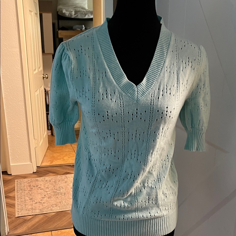 Amazon Women's Sky Blue V-Neck Sweater